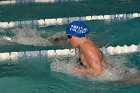Swimming vs Babson  Wheaton College Swimming vs Babson College. - Photo By: KEITH NORDSTROM : Wheaton, Swimming, Babson